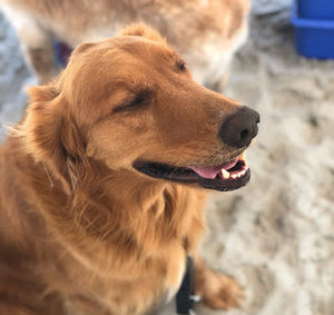 Meet your Posher, Jon